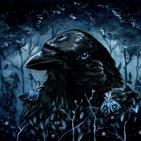 The Three Eyed Raven