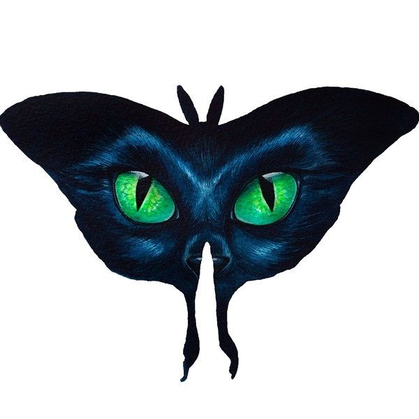 Cat Eyed Luna Moth