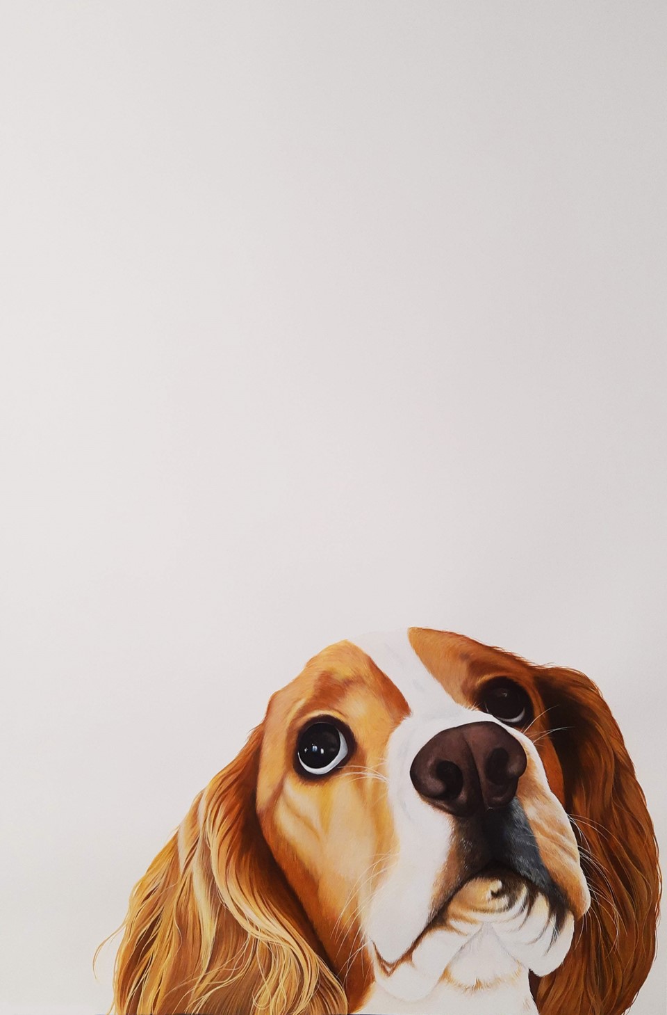 pet-dog-portrait-family-pet-watercolour-illustration-by-holly-khraibani