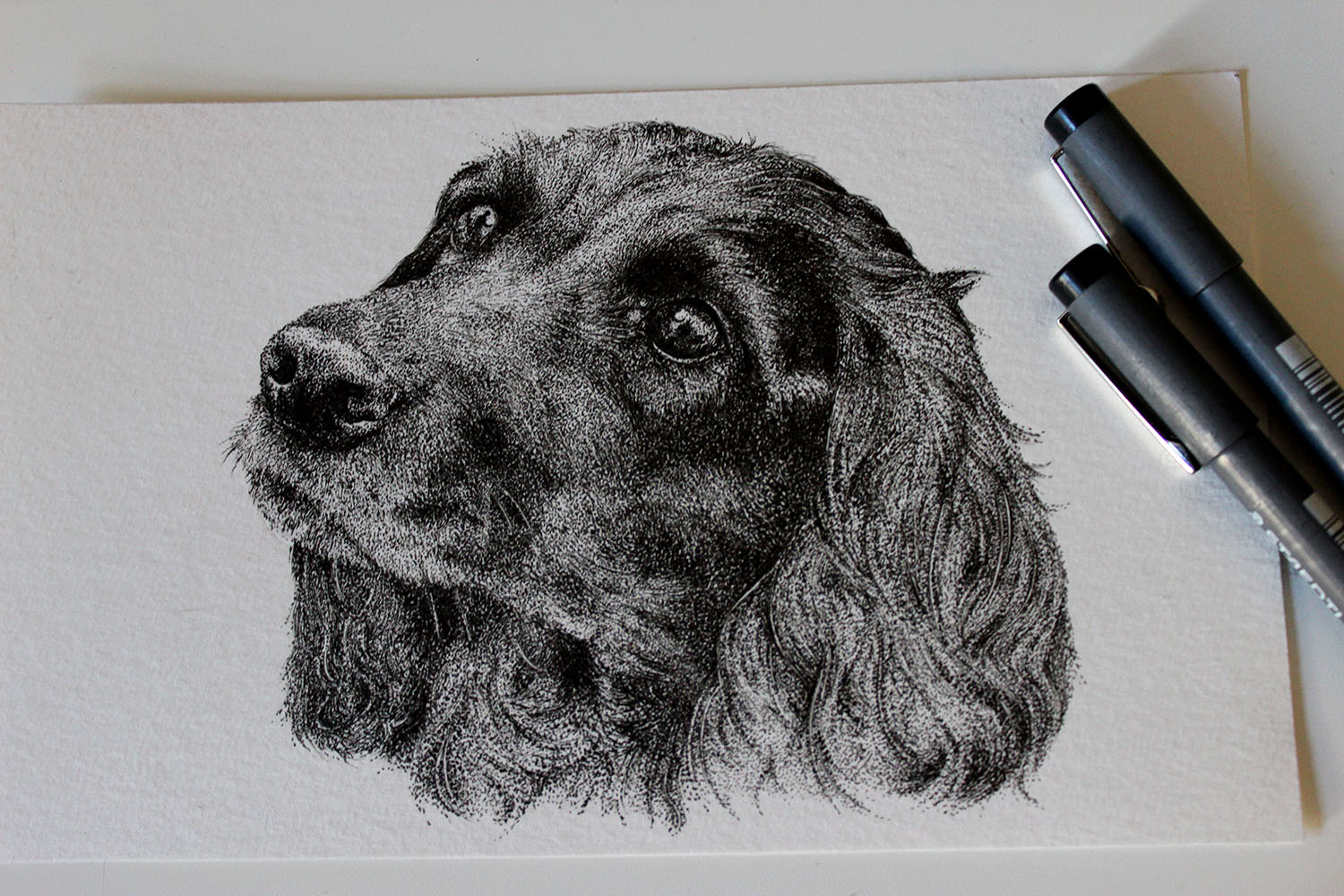 Pet portrait illustration