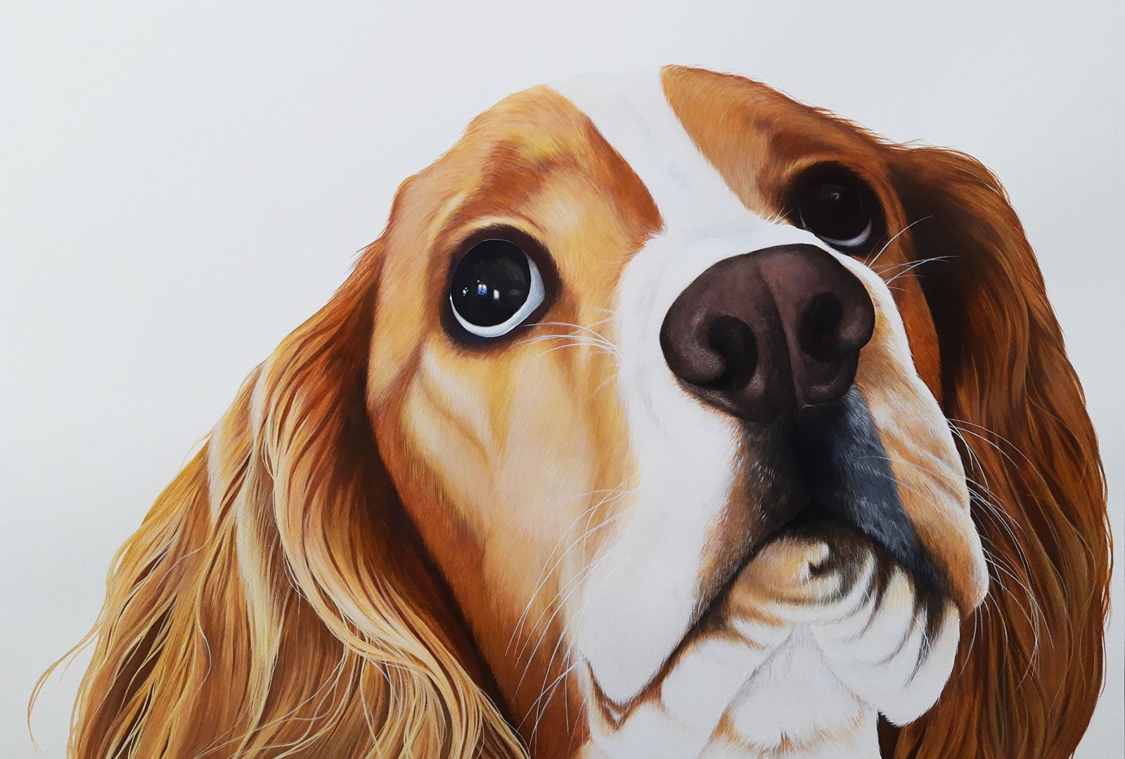 A watercolour dog portrait by Holly Khraibani
